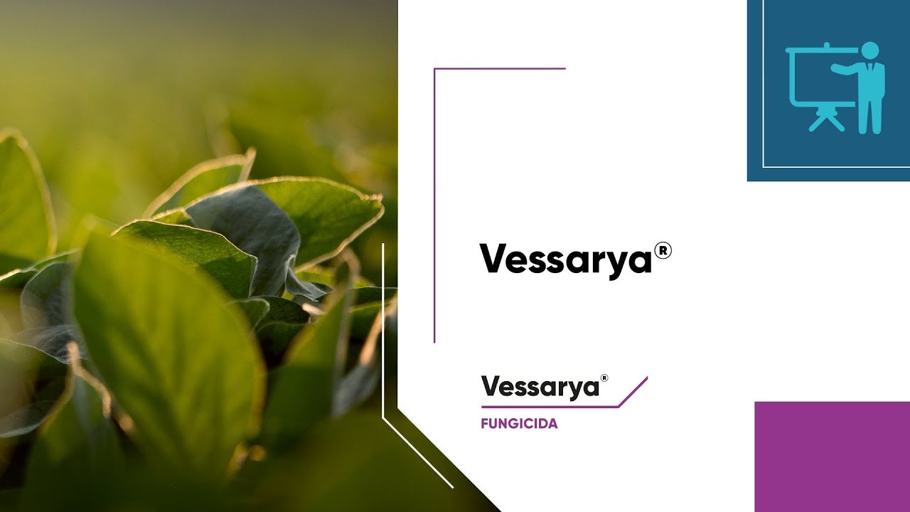 Conheça o fungicida Vessarya®
